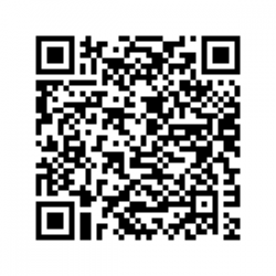 Flaschenschiff / Buddelschiff Mayflower ca. 9 x 6 cm